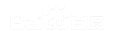 ��½AI�Ż�